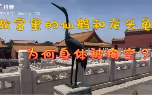 Video herunterladen: 北京小伙逛故宫，遇到仙鹤和龙头龟，它们身体为何被掏空？