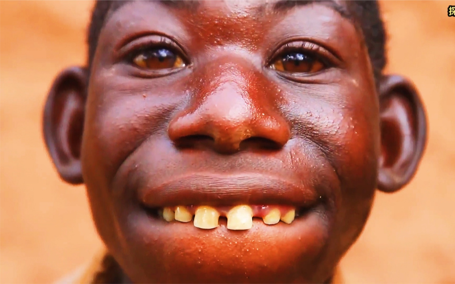 非洲混血男孩康康图片