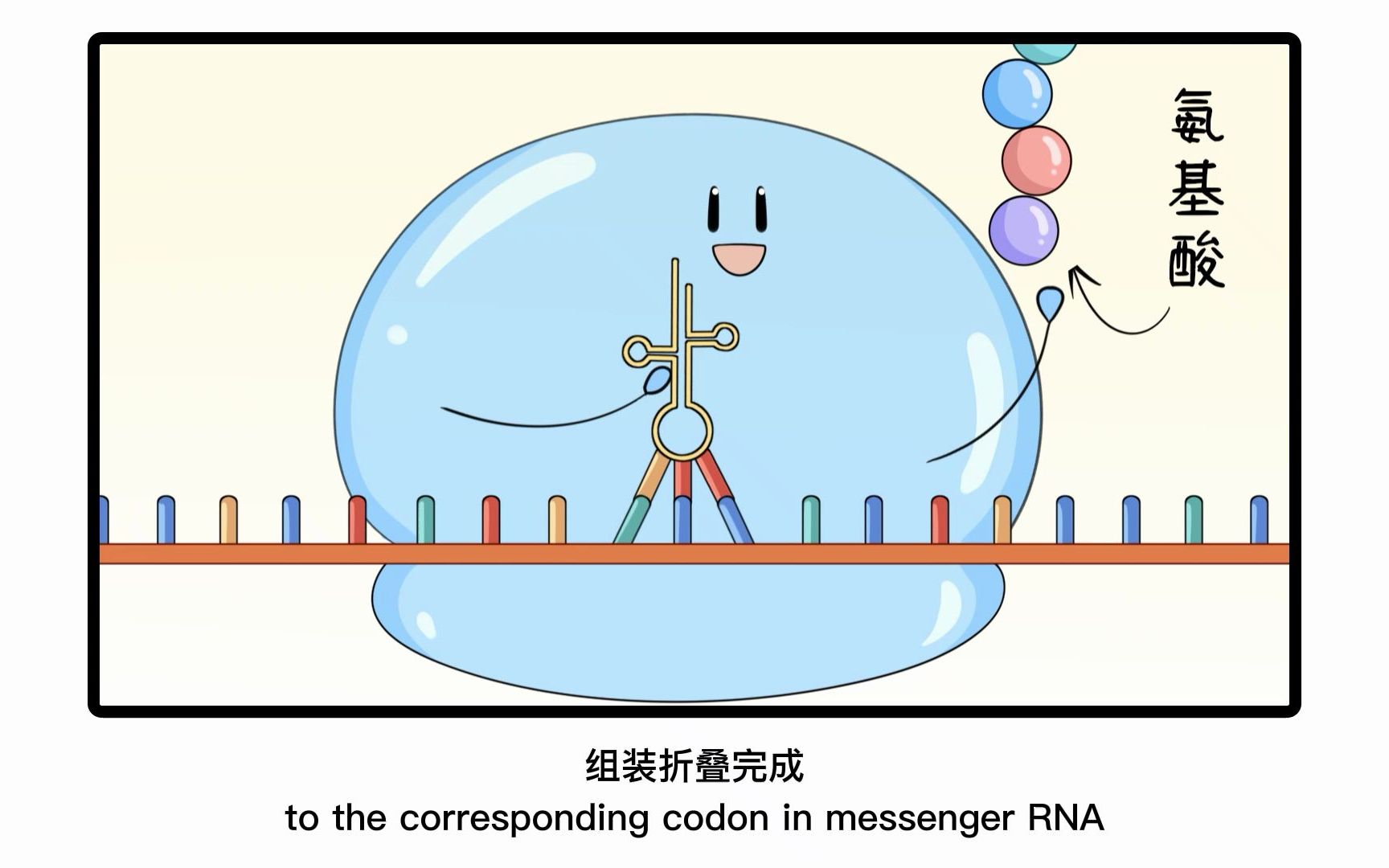 #生物设计研究 提升基因密码子拓展技术效率及正交性的系统回顾与展望哔哩哔哩bilibili