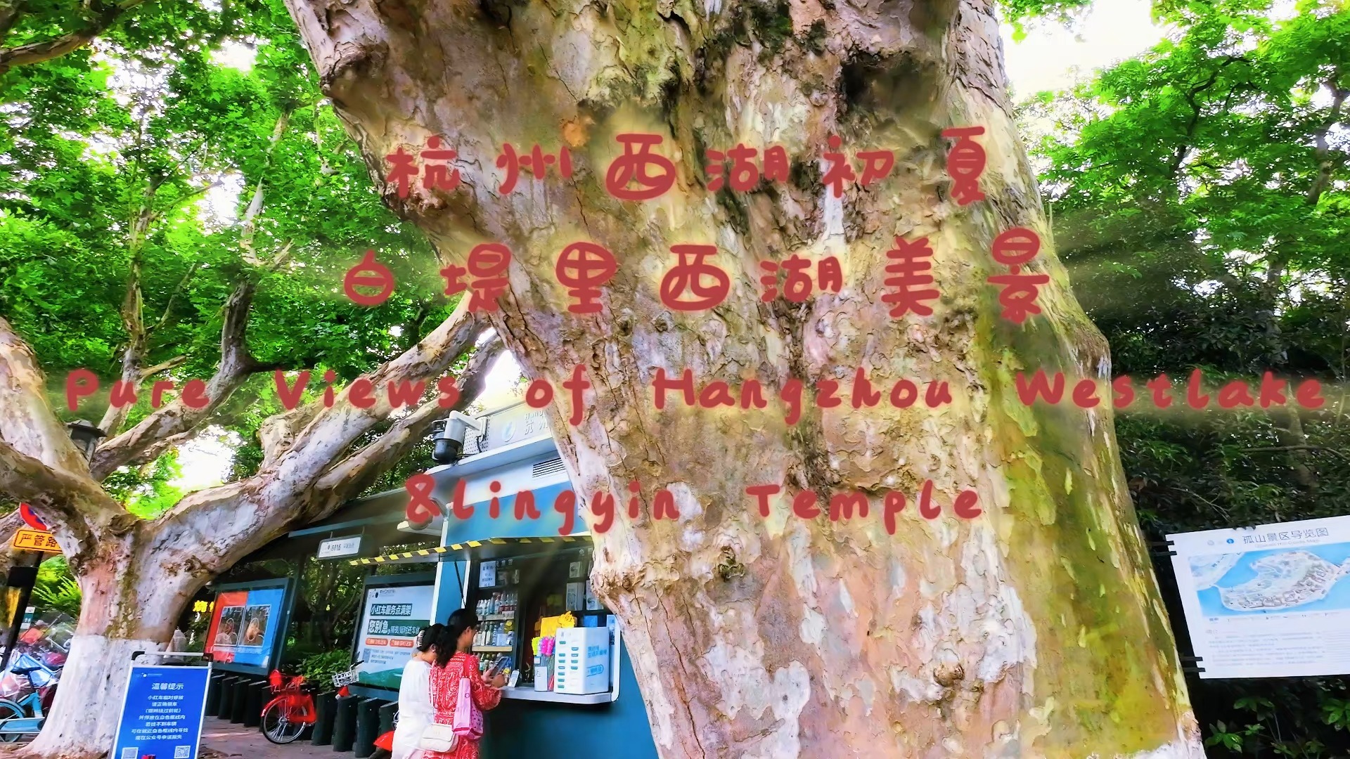 雨天白噪音4k高清杭州西湖初夏荷花纯风景灵隐寺最美永福寺Pure Views of Hangzhou Westlake哔哩哔哩bilibili