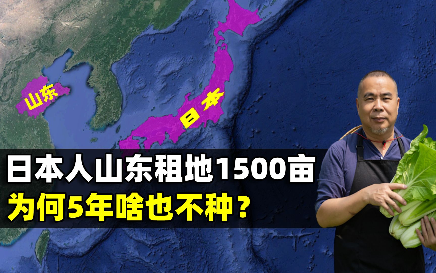 日本人狂租山东1500亩地,闲置5年荒草丛生,这番骚操作是想干啥?哔哩哔哩bilibili