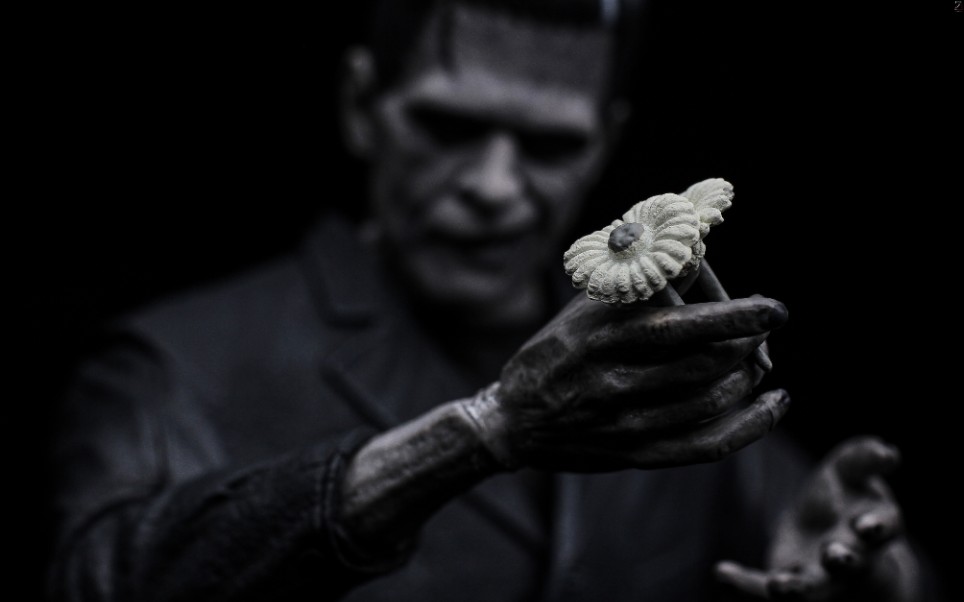 [图]『模玩短评』NECA 科学怪人 弗兰肯斯坦 黑白版 环球影业怪物宇宙 Frankenstein