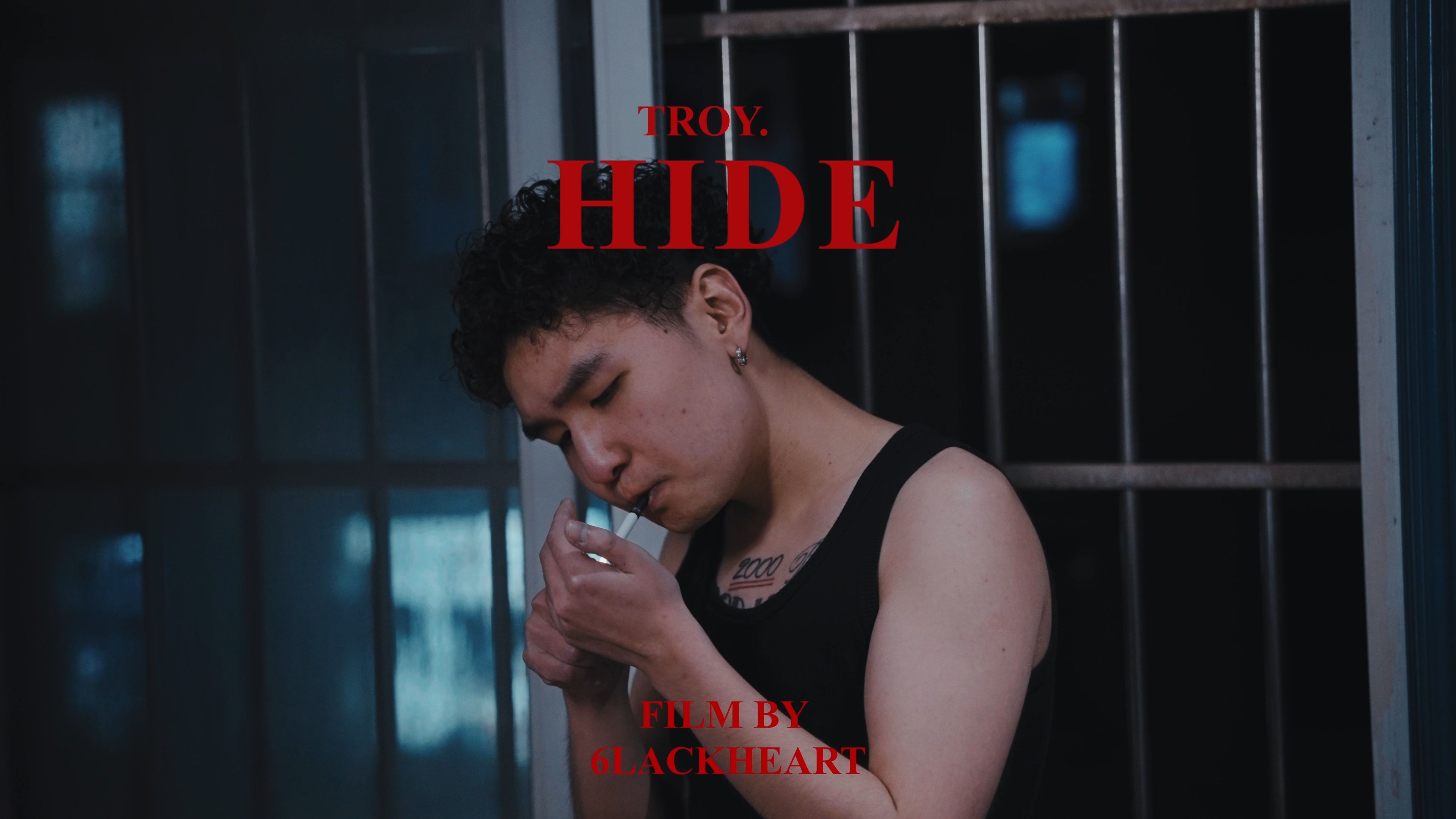 troy - hide(official music vedio)
