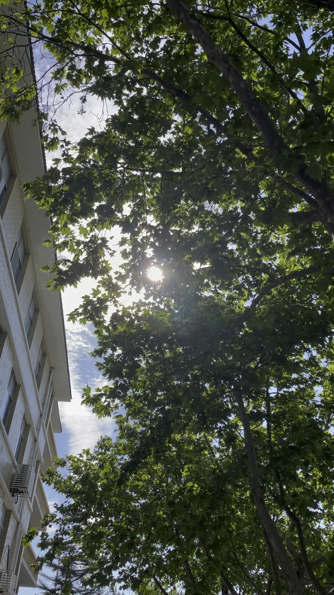 [图]夏至已至。