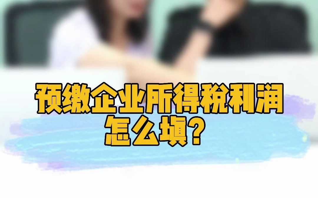 预缴企业所得税利润怎么填?哔哩哔哩bilibili