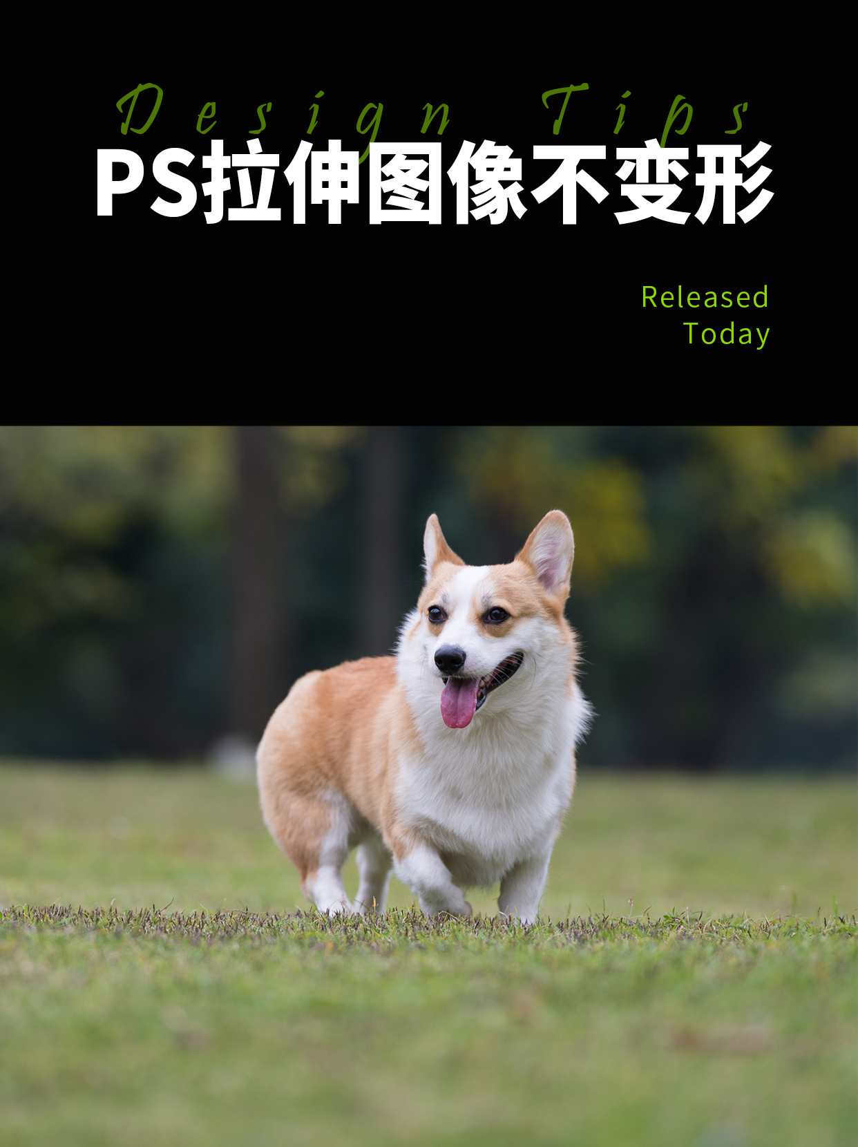 ps拉伸画面不变形的方法