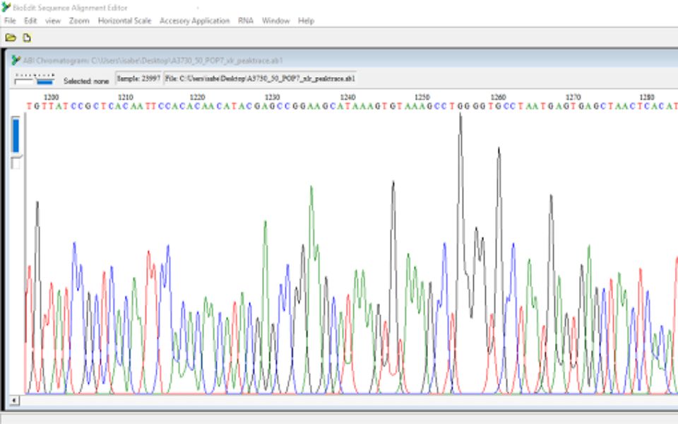 Bioedit 7.0.9 新版 Win 分子序列对比编辑分析工具 下载安装教程哔哩哔哩bilibili