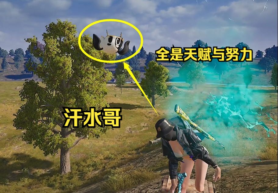 合区后外挂也太多了吧?-普通话很包准的龟-普通话很包准的龟-哔哩哔哩视频