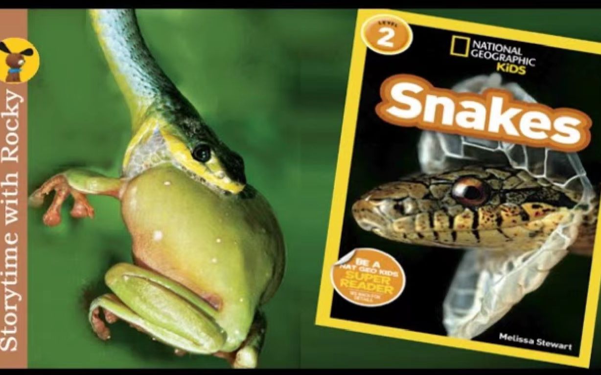 [图]Snakes 蛇 少儿英语分级读物 National Geographic Readers