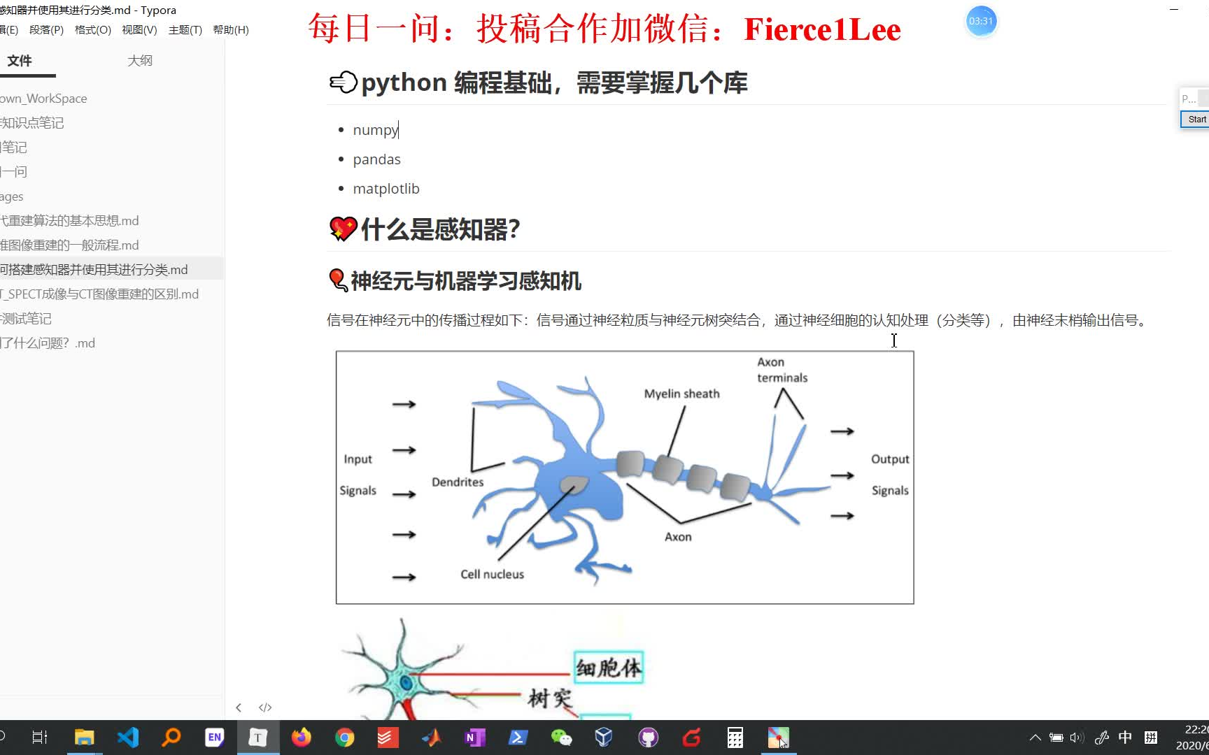 如何搭建感知机并进行分类哔哩哔哩bilibili