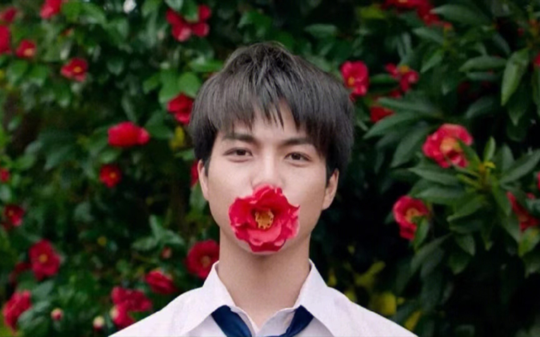 【重冈大毅】音画无关,但很治愈