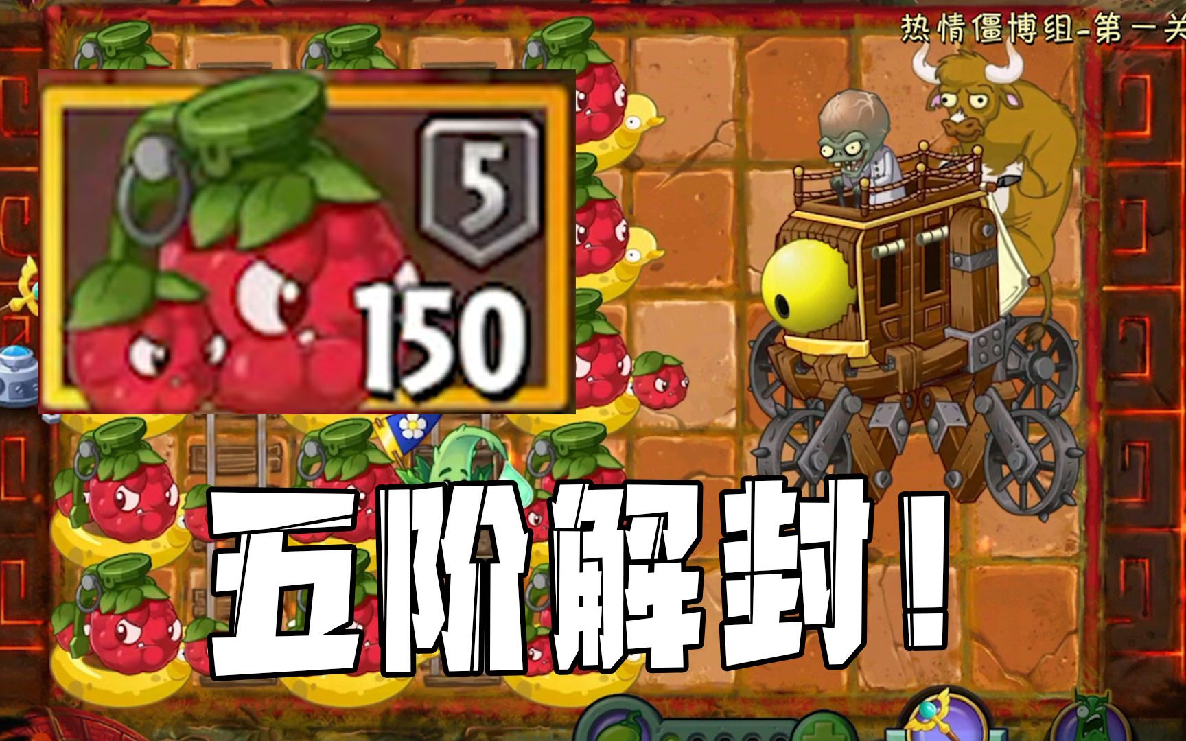 植物大战僵尸:五阶桑葚爆破手解封!什么叫输出的天花板!