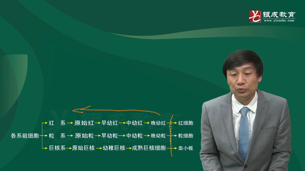 [图]内科（29-32章）_内科29章-04血液病学实验室检查的推导（43分钟）