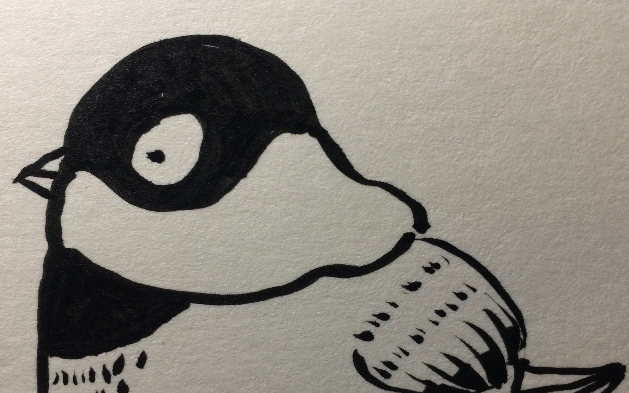 奶奶都能画的简笔画——小山雀_哔哩哔哩_bilibili