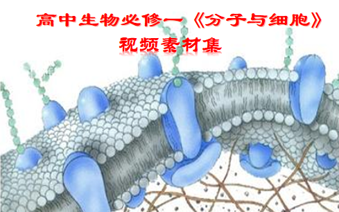 高中生物必修一《分子与细胞》系列视频素材,持续更新中哔哩哔哩bilibili