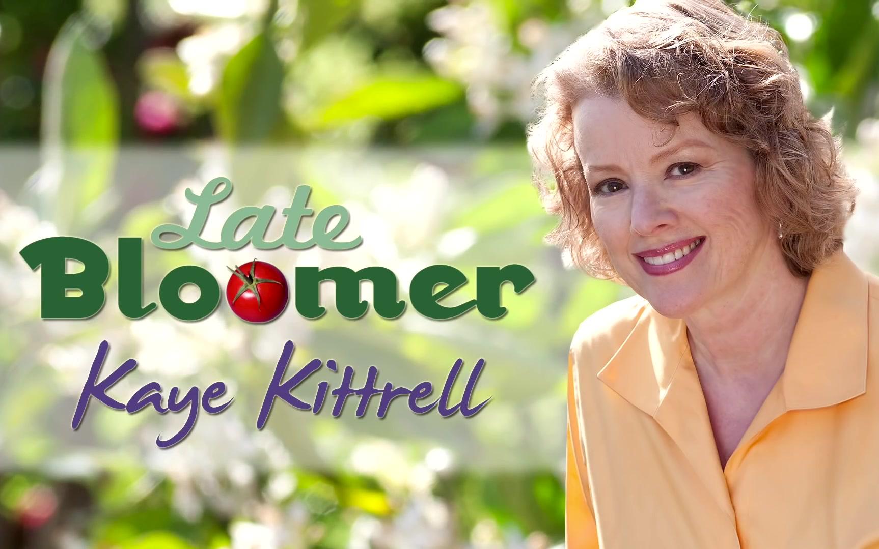 种丝瓜 得海绵 how to grow loofa (luffa) for sponges