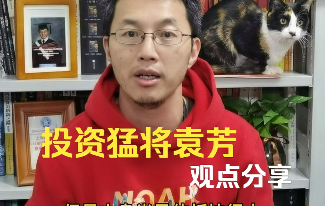 知名基金经理投资猛将袁芳近期投资观点整理分享干货多多