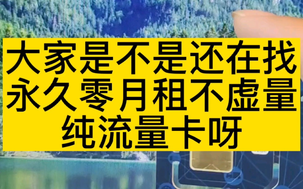 大家是不是还在找永久零月租不虚量纯流量卡,不虚量全网唯一来了,缺流量得小伙伴们的福音卡!哔哩哔哩bilibili