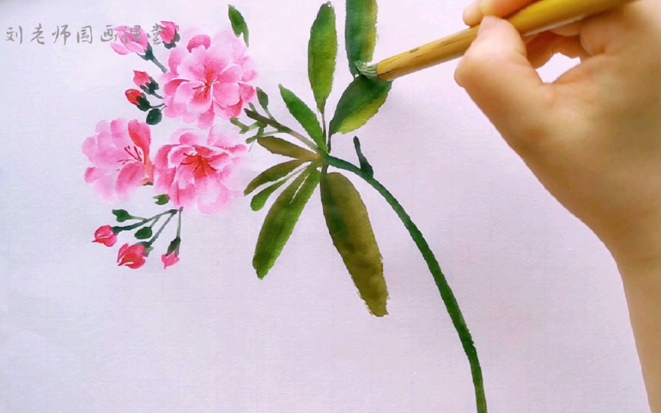 【国画教程】写意夹竹桃的画法