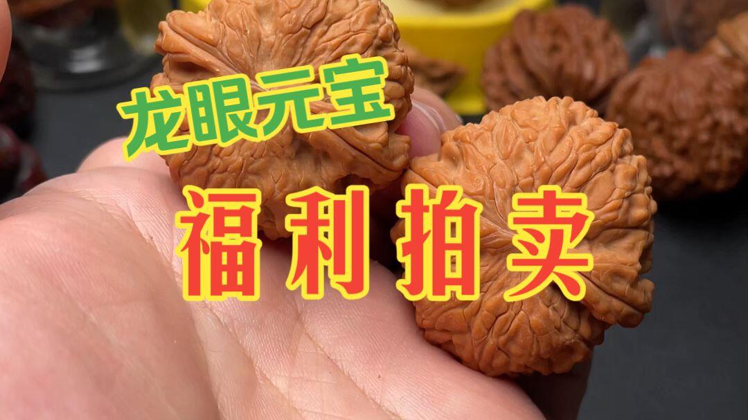 7.7-7.9号】38尺龙眼元宝文玩核桃，福利拍卖，30起拍。30起每手加10元