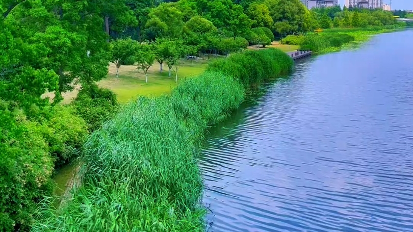 人生总有一处风景,是为你而来,当你看见的时候,恰好美了心境,让我们放慢脚步,欣赏身边的美景,留住美好!#治愈系风景 #感受大自然的气息和美景...