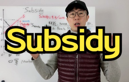 Subsidy补助哔哩哔哩bilibili