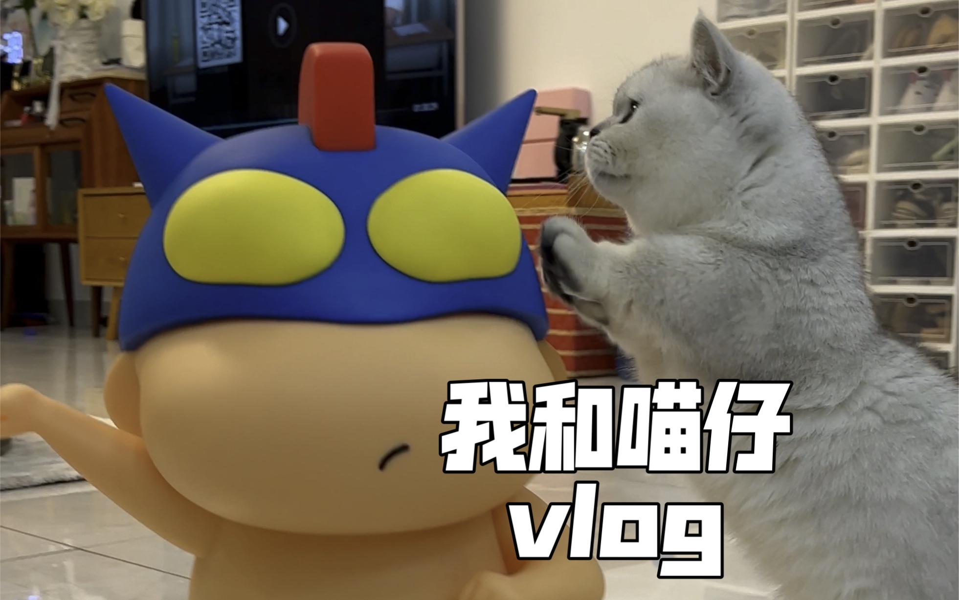 我和喵仔日常vlog-添置小玩意太太太开熏了!