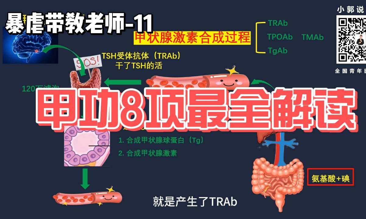 甲功8项最全解读暴虐带教老师系列11哔哩哔哩bilibili