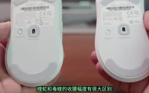 Tải video: 618的雷蛇太诱惑，可是毒蝰V2Pro和蝰蛇V3Pro怎么选？