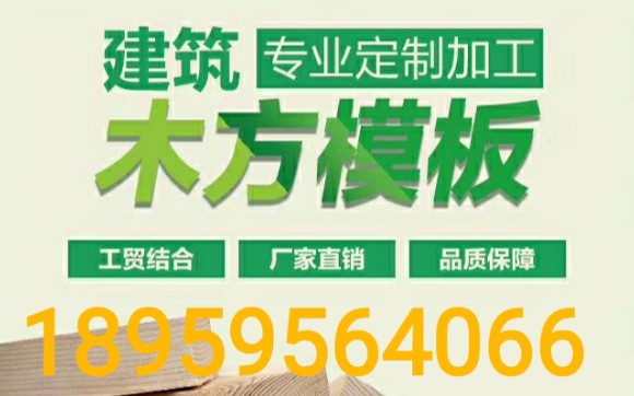 这是厂里的加工现场,欢迎来厂考察.专门生产建筑木方方木模板木胶板竹胶版的,欢迎咨询获取报价单哦哔哩哔哩bilibili