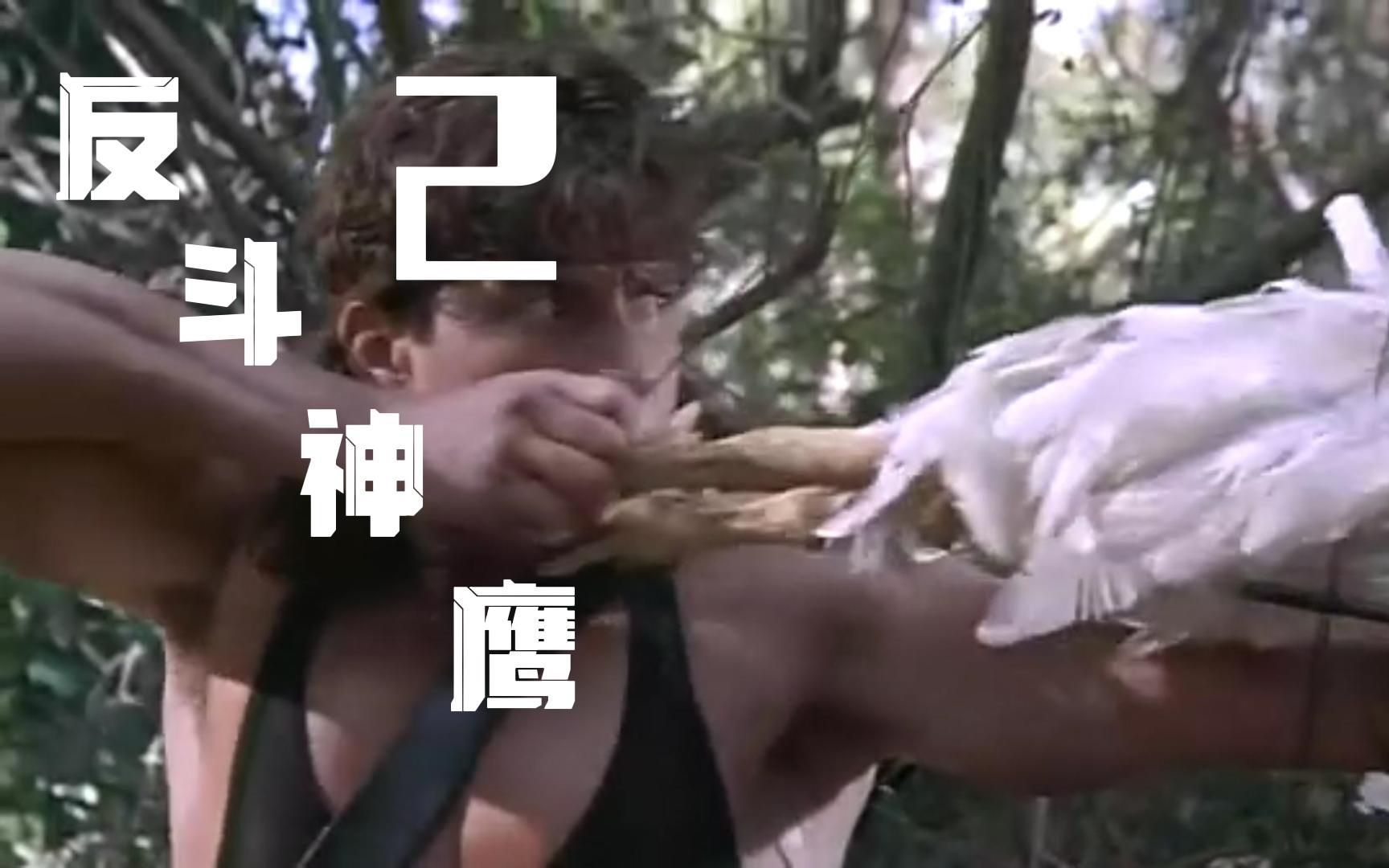 反斗神鹰2里的搞笑瞬间.