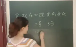 小学科学试讲 食物在口腔里的运动