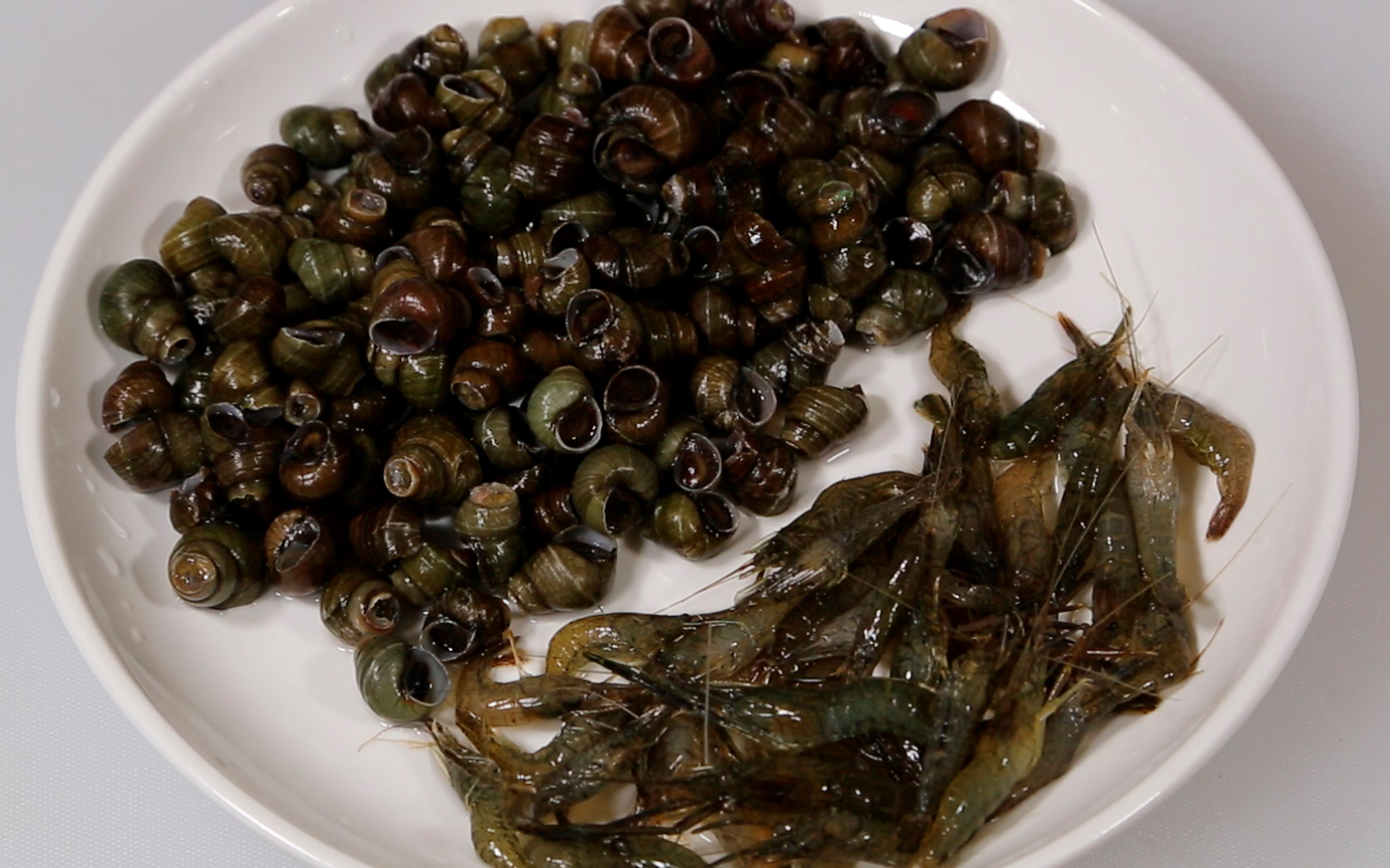 又到吃丝螺的季节,来一道丝螺炒河虾做法,大厨的菜家常的味好吃