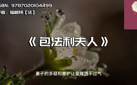 《包法利夫人》:这个女人为欲望而生,为浪漫而死哔哩哔哩bilibili