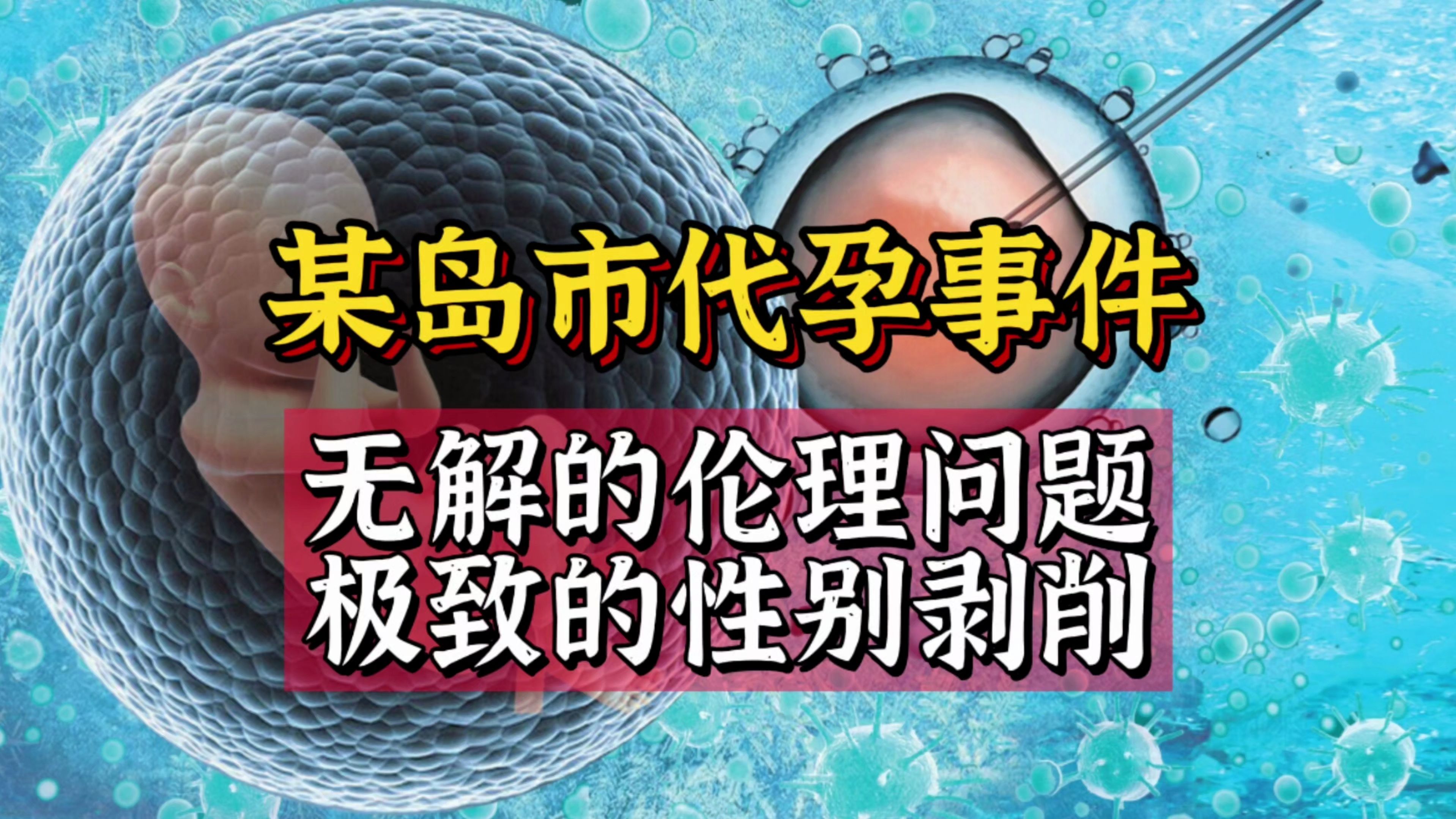 某岛市代孕事件,无解的伦理问题,极致的性别剥削哔哩哔哩bilibili