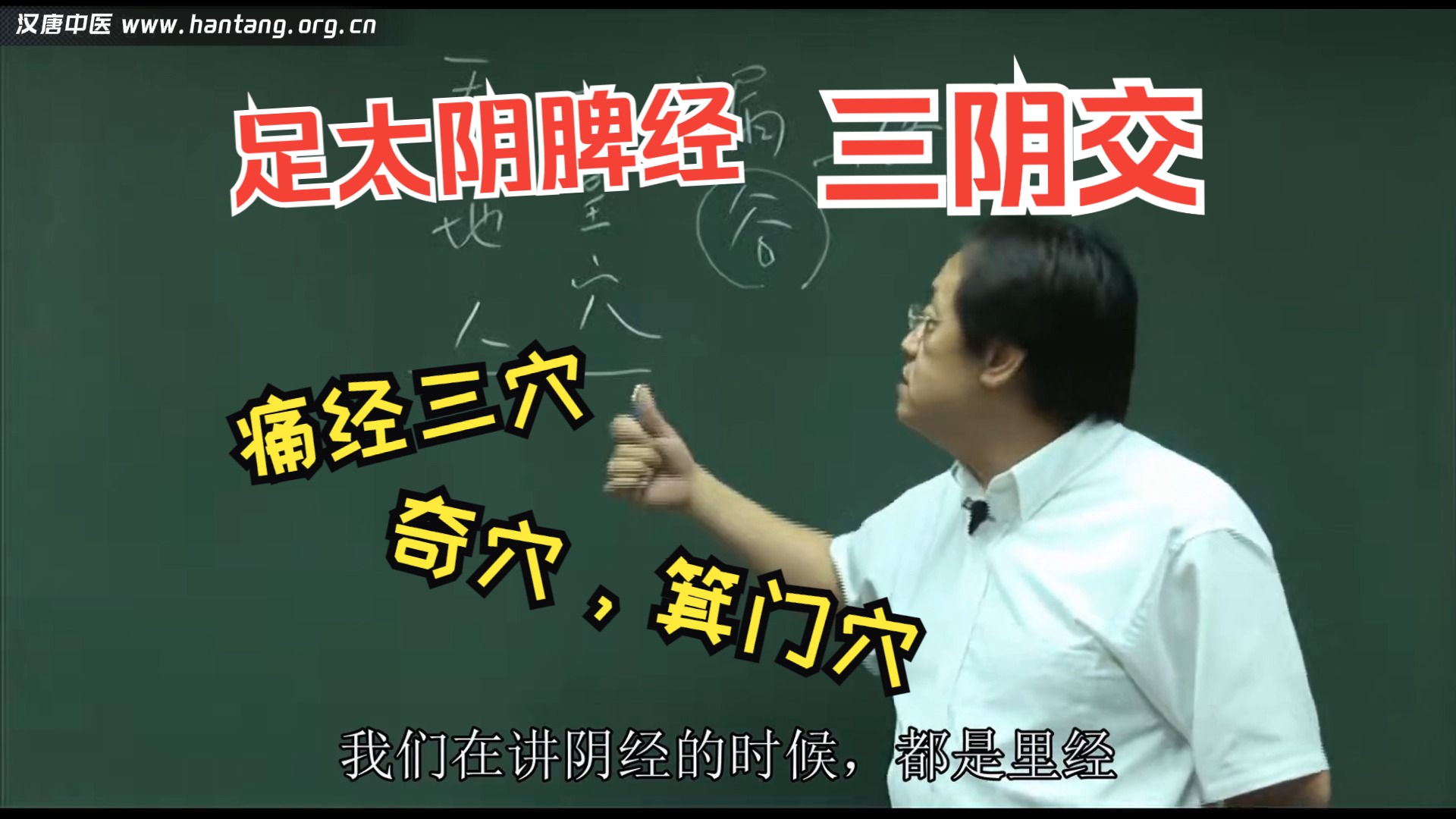 倪海厦《针灸大成》第十四集-完整版