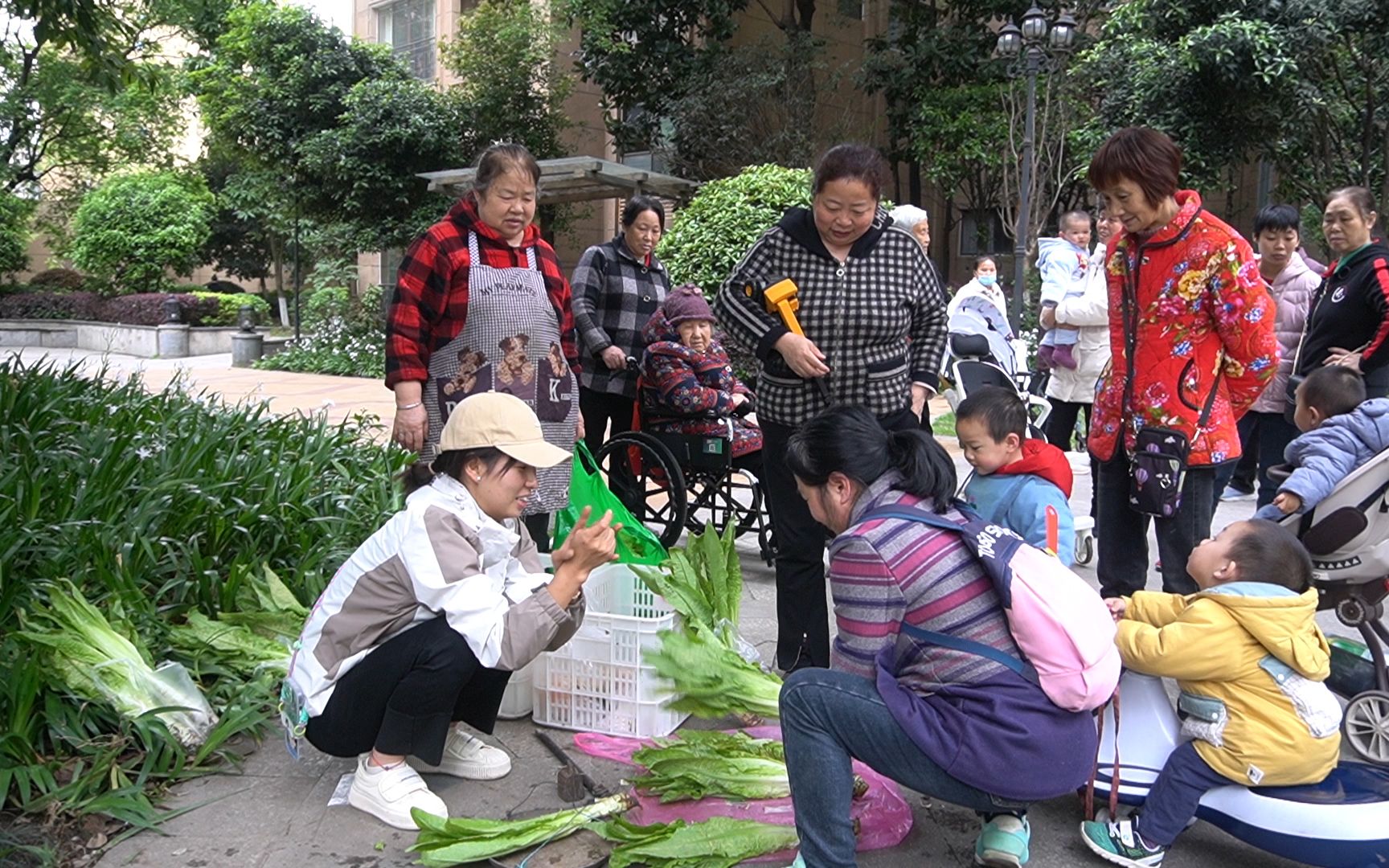 把新鲜农家菜运进城卖给小区领居们,大家都超喜欢,市场供不应求被大家一抢而空,翠花找到销路了哔哩哔哩bilibili