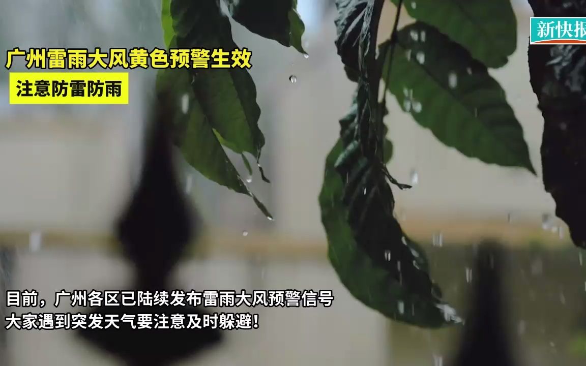 雷雨霸屏注意防范!广州发布雷雨大风黄色预警哔哩哔哩bilibili