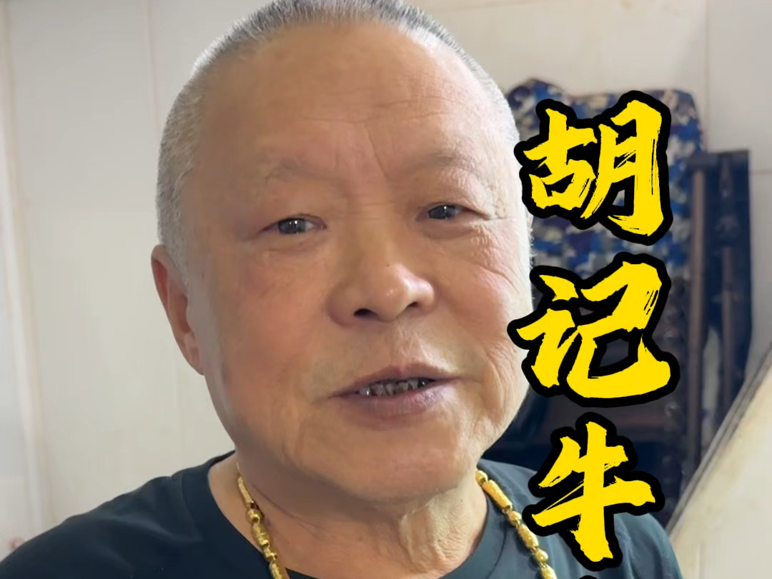 武汉三巨头之胡记牛肉面,武汉过早霸主,身价千万的只配吃素面.#武汉美食 #人间烟火 #大爷永远是大爷哔哩哔哩bilibili