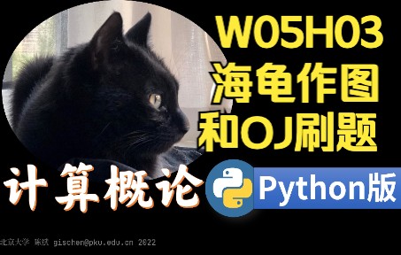 【课堂实录】W05H03海龟作图和OJ刷题计算概论Python版北京大学陈斌哔哩哔哩bilibili