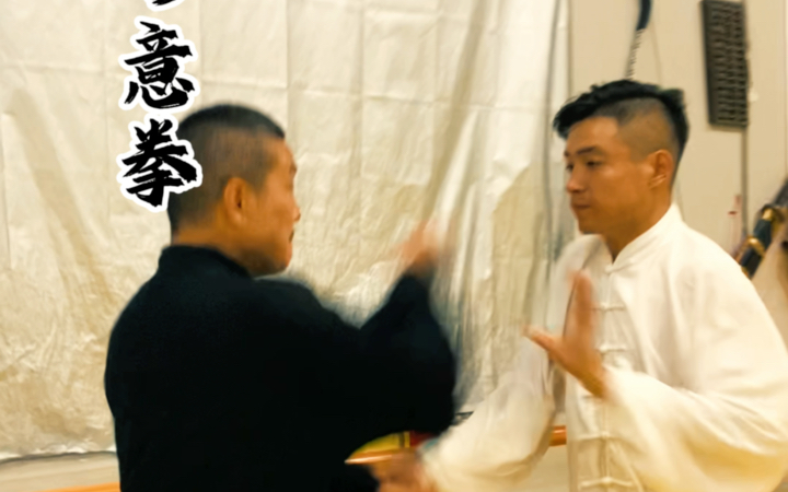 实战形意拳#形意拳 绝招五花炮 #车派形意拳 七十二绝技五花炮 #传统文化 裹、践、劈、钻、背、名五花哔哩哔哩bilibili