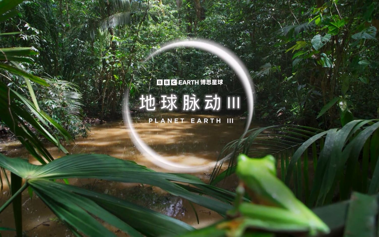 纪录片《地球脉动 iii》第四集《滴水之源》将于11月19日 21:30在smg