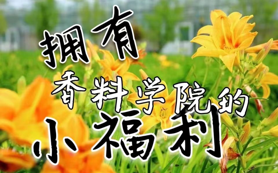 上海应用技术大学封校小福利,up主大写的想要!!!哔哩哔哩bilibili