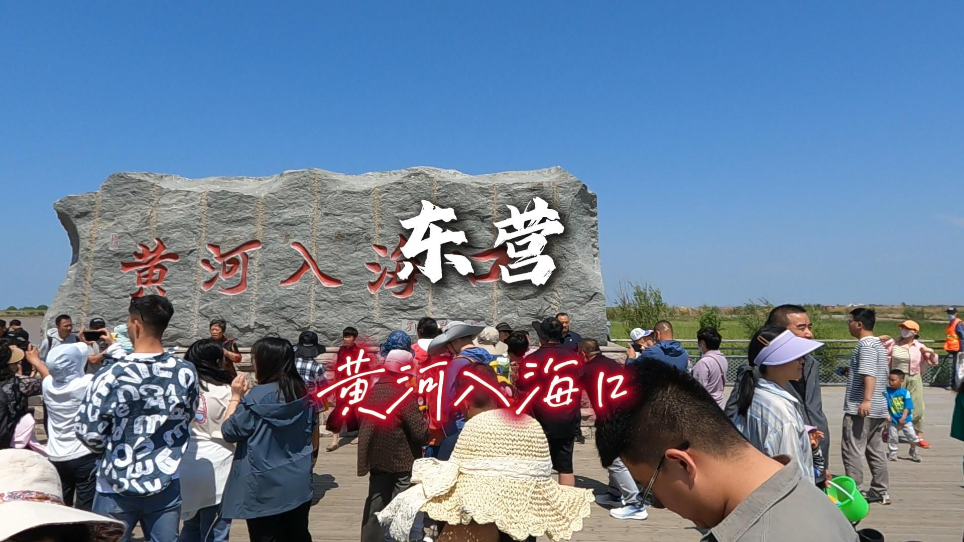 满心期待的黄河入海口之行并不完美,这是烦恼篇,错在时间不对