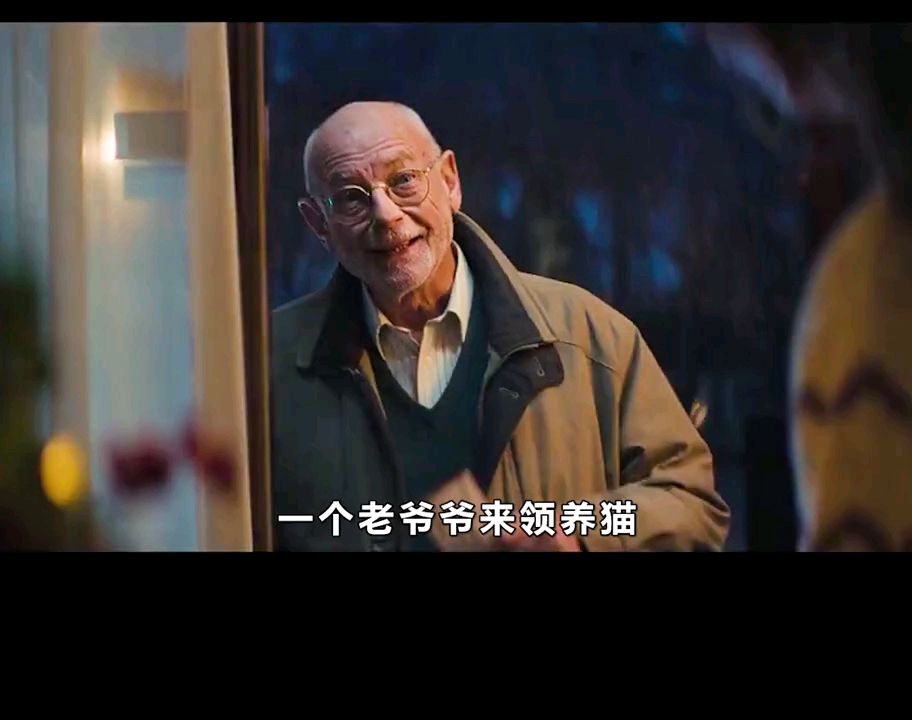 一只能给人带来幸运的小黑猫