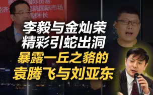 下载视频: 李肃：李毅与金灿荣精彩引蛇出洞，暴露一丘之貉的袁腾飞与刘亚东