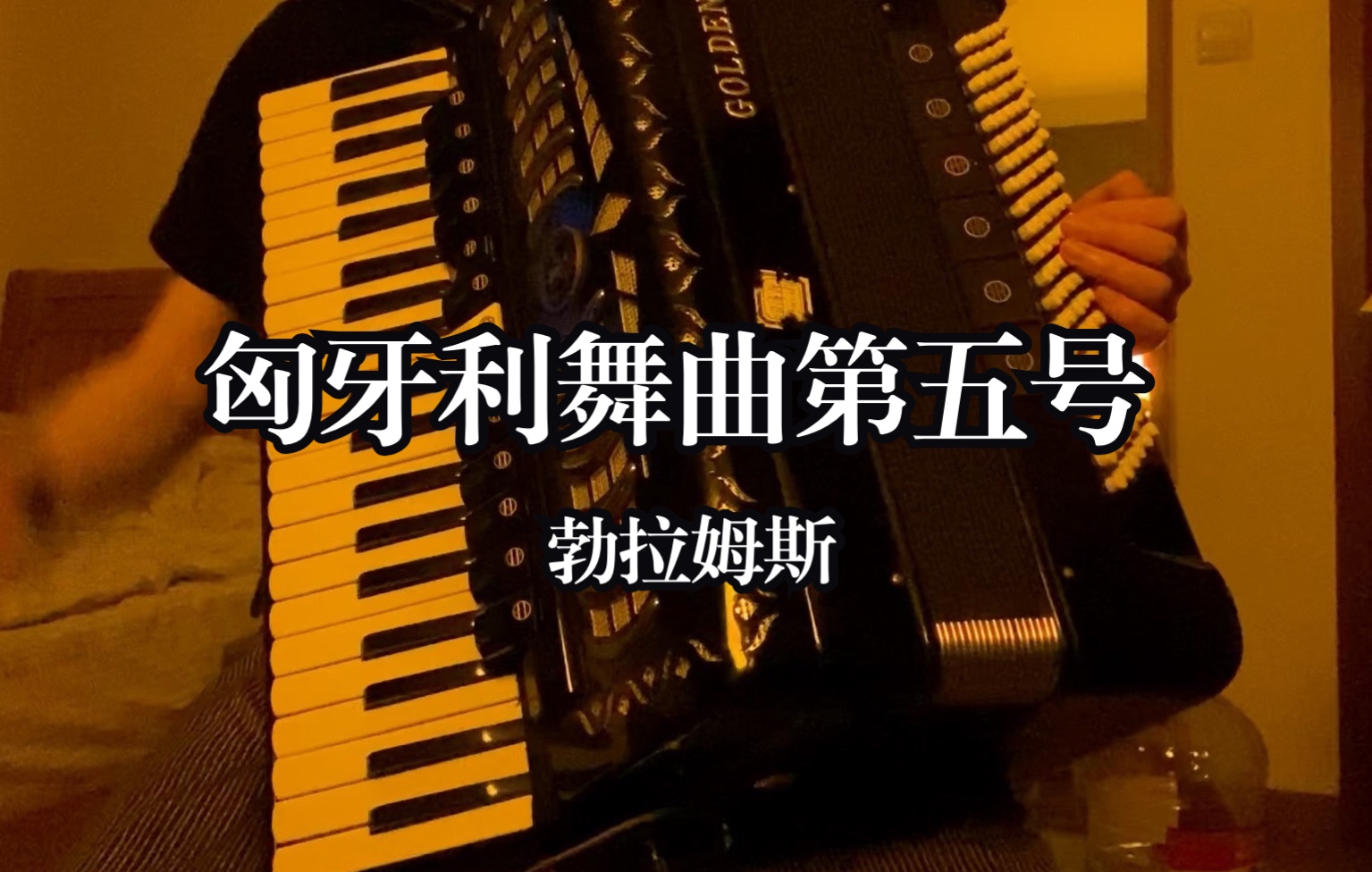 手风琴匈牙利舞曲第五号勃拉姆斯