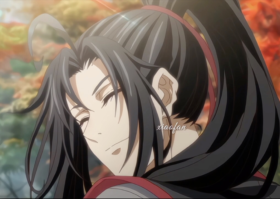 蓝湛,上来,我背你走