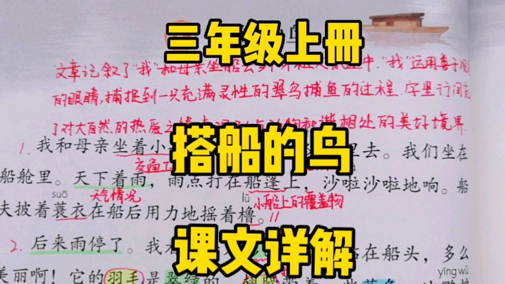 [图]三年级语文上册：《搭船的鸟》课文详解，这只鸟为何要搭船呢？搭船去哪里呢？