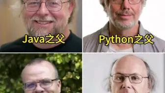 看头发就知道学哪门编程语言更简单